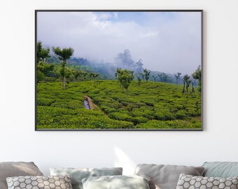 South India Wall Art, Tea Plantation in Ooty, Tamil Nadu, India Photography, Authentic poster for any room or office, India Gift Idea