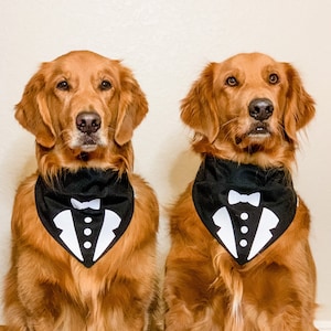 Tuxedo Dog Bandana, Wedding Dog Bandana, Wedding Dog Attire, New Years Dog Bandana, Over the Collar Dog Bandana, Cute Dog Bandana