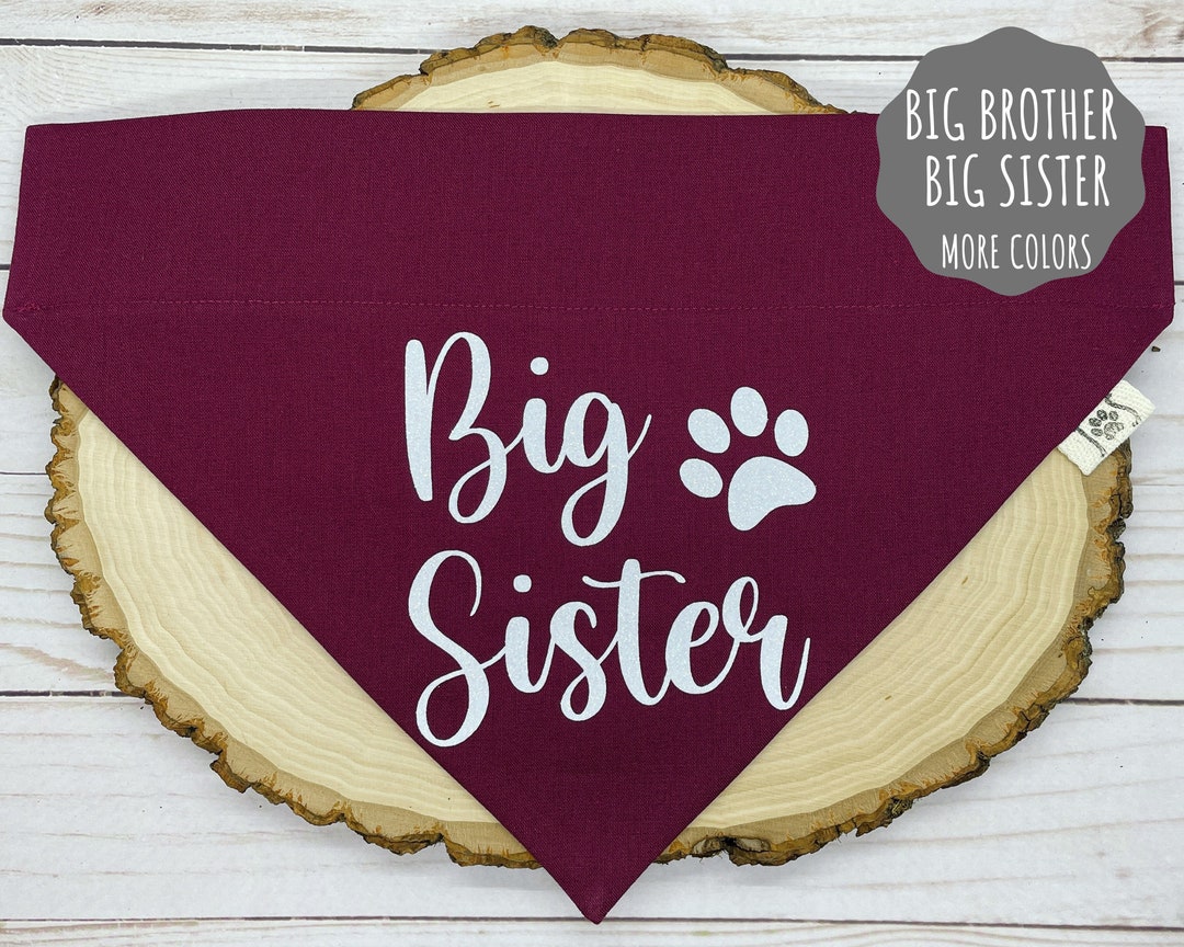 Big Brother Big Sister Dog Bandana, Baby Announcement Dog Bandana