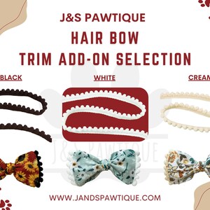 various types of hair bows on a white background