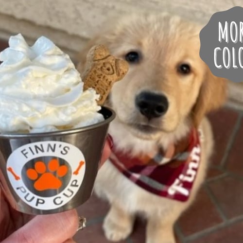 Mini taza para perros, taza para perros, taza personalizada para perros, taza reutilizable de acero inoxidable para perros, golosina para perros, Puppucino, taza para Puppucino, Puppucino de Starbucks, regalo para perros