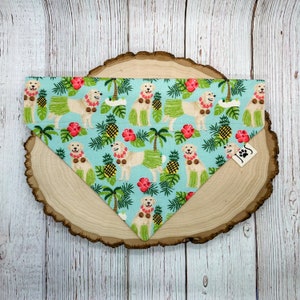 May include: A turquoise dog bandana with a repeating pattern of golden retrievers wearing leis and grass skirts, pineapples, palm trees, and red hibiscus flowers. The bandana has a tag with a paw print.