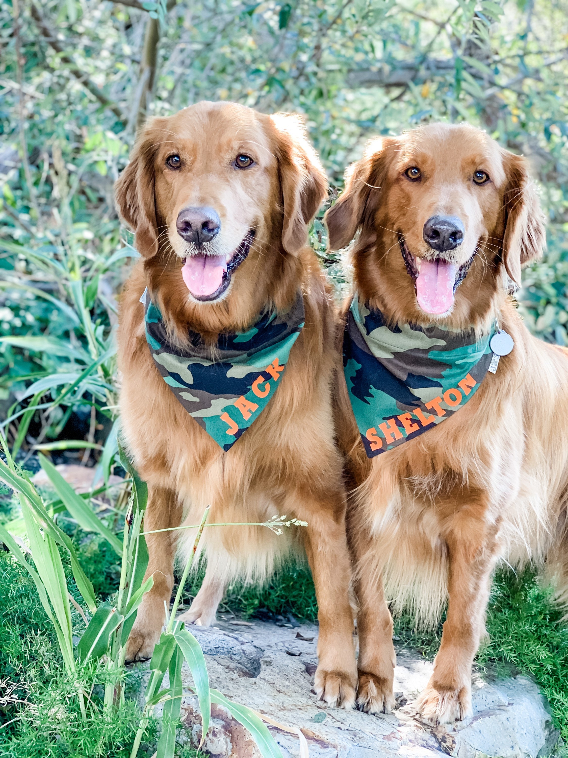 Pink camo dog bandana deals