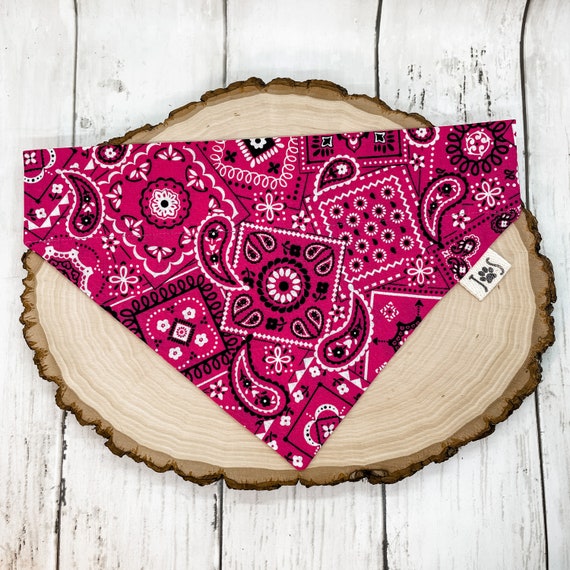 Paisley 2024 dog bandana