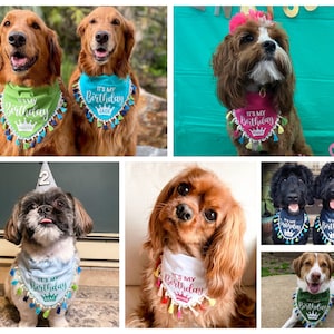 Birthday Dog Bandana, Personalized Birthday Dog Bandana, Fun Birthday Dog Bandana, Personalized Dog Bandana, Over the Collar Dog Bandana image 2