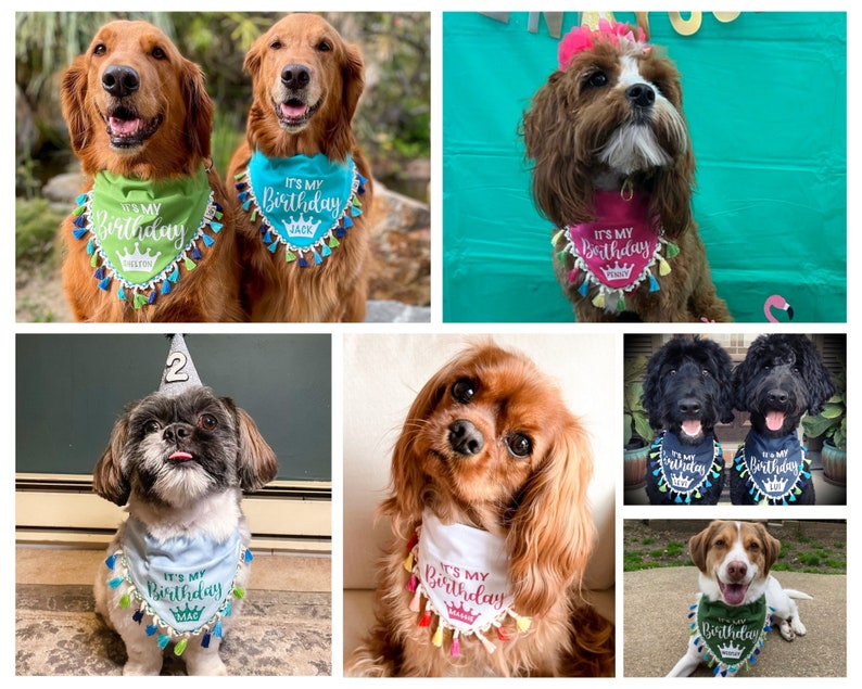 Birthday Dog Bandana, Personalized Birthday Dog Bandana, Fun Birthday Dog Bandana, Personalized Dog Bandana, Over the Collar Dog Bandana image 2