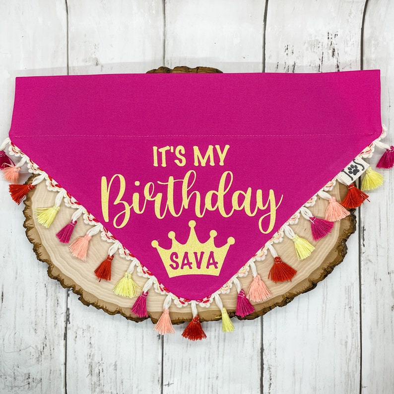 Birthday Dog Bandana, Personalized Birthday Dog Bandana, Fun Birthday Dog Bandana, Personalized Dog Bandana, Over the Collar Dog Bandana image 4