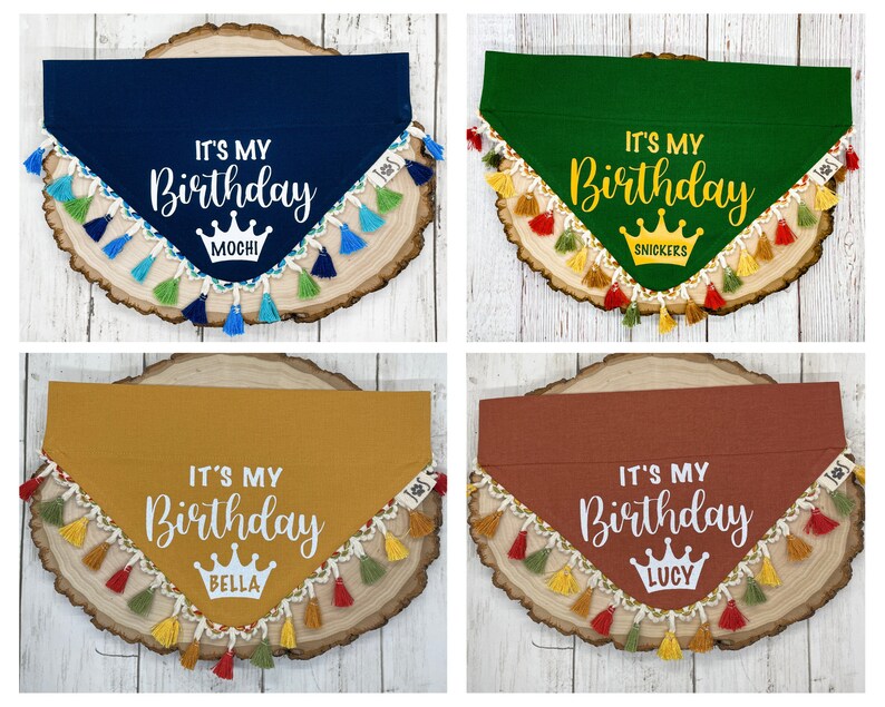 Birthday Dog Bandana, Personalized Birthday Dog Bandana, Fun Birthday Dog Bandana, Personalized Dog Bandana, Over the Collar Dog Bandana image 3