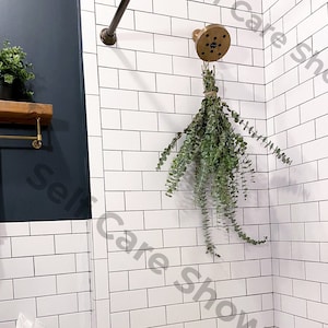 Fresh Shower Eucalyptus San Diego Grown | Hanging Ribbon Included | Aromatherapy | Baby Blue Eucalyptus | Restful Sleep | Gift Bouquet Bunch image 3