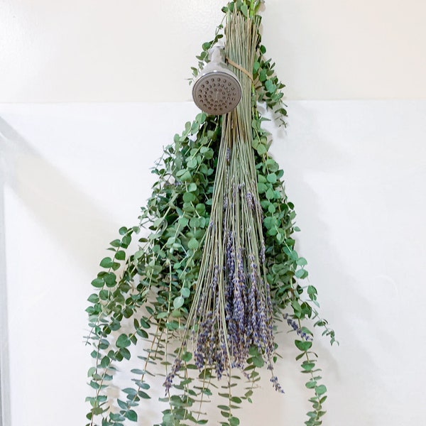 Lavender With Fresh Eucalyptus Live | Dried Fragrant Lavender For Shower Or Home