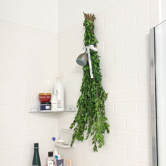 Myrtle Shower Bunch | Hanging Ribbon Included | Unique Evergreen Flower Cutting | Fresh and Real | Gift Bouquet