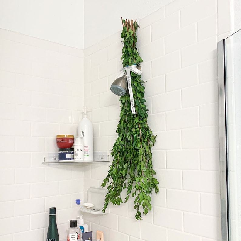May include: A white tiled shower with a clear glass shower door. A bunch of green leafy branches are hanging from the shower head. There are various bottles of toiletries on a clear shelf.
