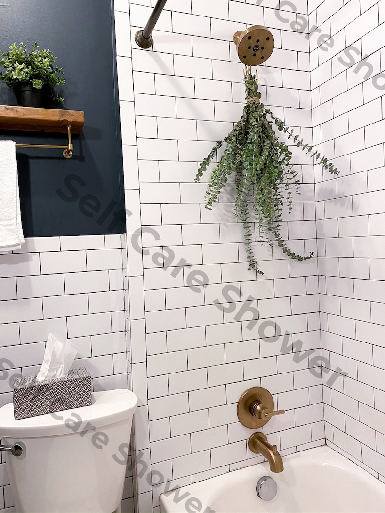 Fresh Shower Eucalyptus San Diego Grown | Hanging Ribbon Included | Aromatherapy | Baby Blue Eucalyptus | Restful Sleep | Gift Bouquet Bunch image 3