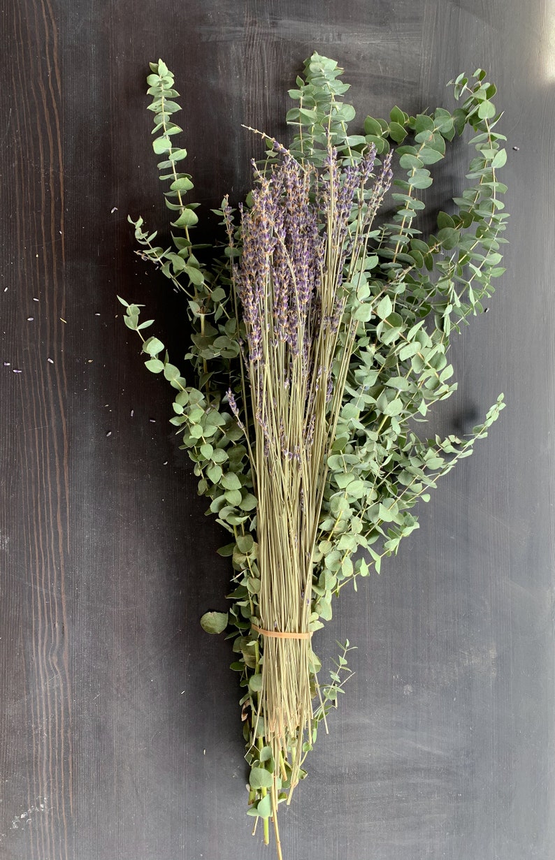 May include: A bouquet of dried lavender and eucalyptus tied together with a rubber band. The bouquet is on a dark wood background.