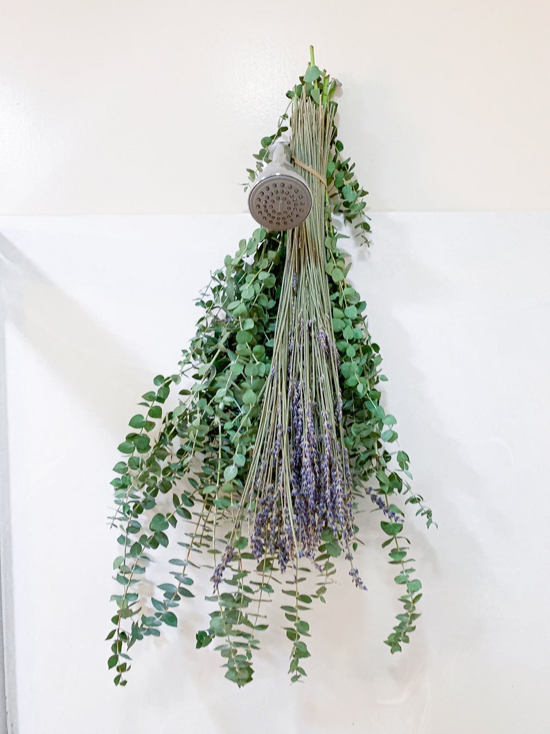 May include: A bunch of eucalyptus and lavender hanging from a shower head. The eucalyptus is green and the lavender is purple.