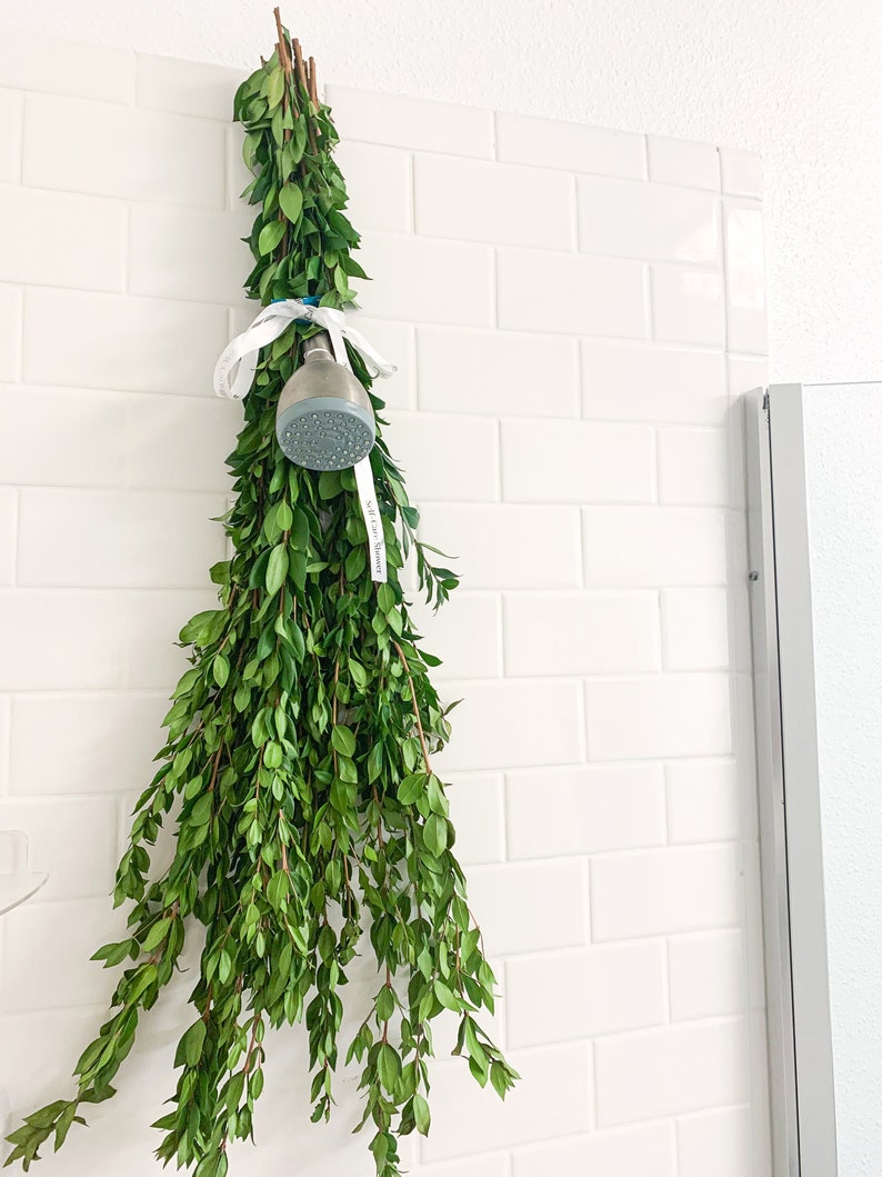 May include: A bunch of green leafy branches hanging from a white tiled wall with a shower head attached to the branches with a white ribbon.