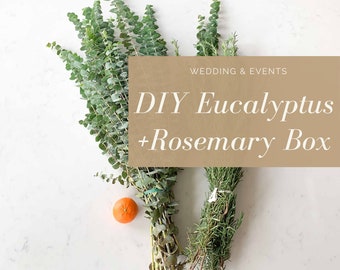 DIY Wedding Box - Fresh Eucalyptus for Weddings & Events - Baby Blue, Rosemary | Wedding Flowers