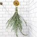 Eucalyptus Shower Bunch | Hanging Ribbon Included | Aromatherapy | Baby Blue Eucalyptus | Restful Sleep | Gift Bouquet | Restful Sleep 
