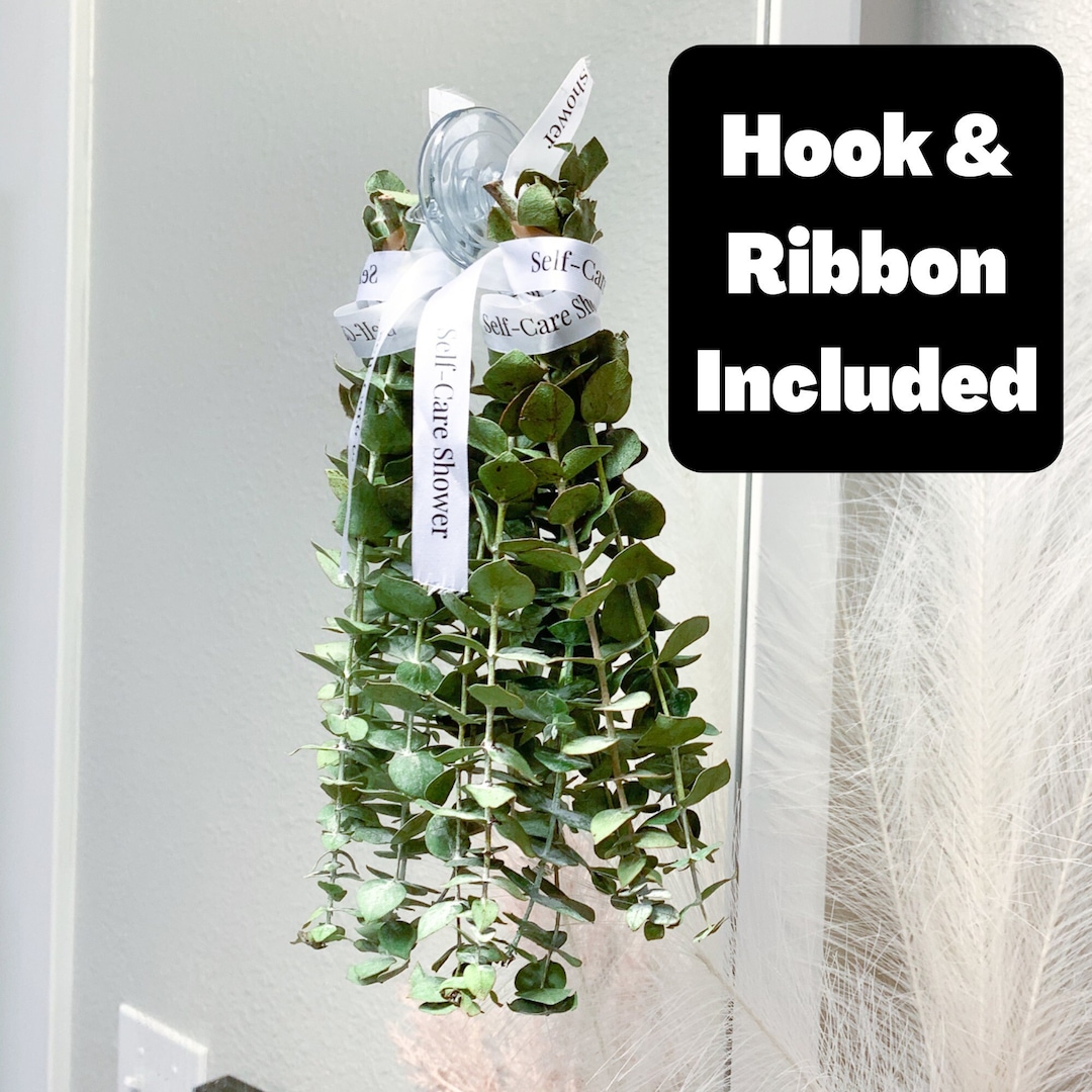 Eucalyptus for Shower FRESH Mini 10 Bunch Hanging Ribbon & Hook Inside