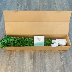 May include: An open cardboard box with a green leafy plant inside. The box is sitting on a wooden floor. A white card with the text "Self-Care Shower" is visible in the box.