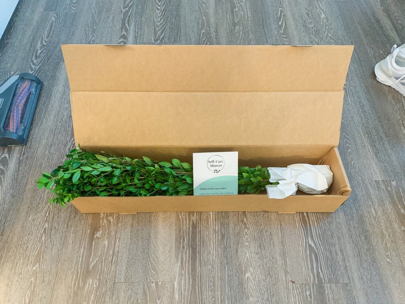 May include: An open cardboard box with a green leafy plant inside. The box is sitting on a wooden floor. A white card with the text "Self-Care Shower" is visible in the box.
