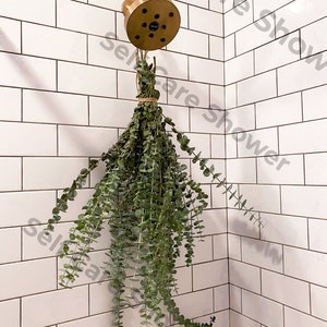Fresh Shower Eucalyptus San Diego Grown | Hanging Ribbon Included | Aromatherapy | Baby Blue Eucalyptus | Restful Sleep | Gift Bouquet Bunch image 7