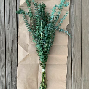 Fresh Shower Eucalyptus San Diego Grown | Hanging Ribbon Included | Aromatherapy | Baby Blue Eucalyptus | Restful Sleep | Gift Bouquet Bunch image 6
