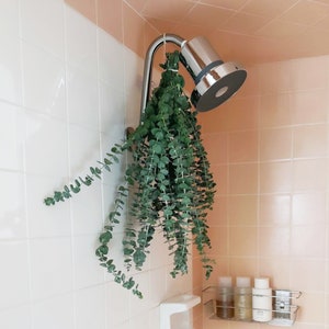 Fresh Eucalyptus Bouquet Shower Aromatherapy | Real Baby Blue Flowers | Transform Your Daily Shower Into A Spa. Real Grown In San Diego USA