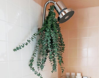 Fresh Eucalyptus Bouquet Shower Aromatherapy | Real Baby Blue Flowers | Transform Your Daily Shower Into A Spa. Real Grown In San Diego USA