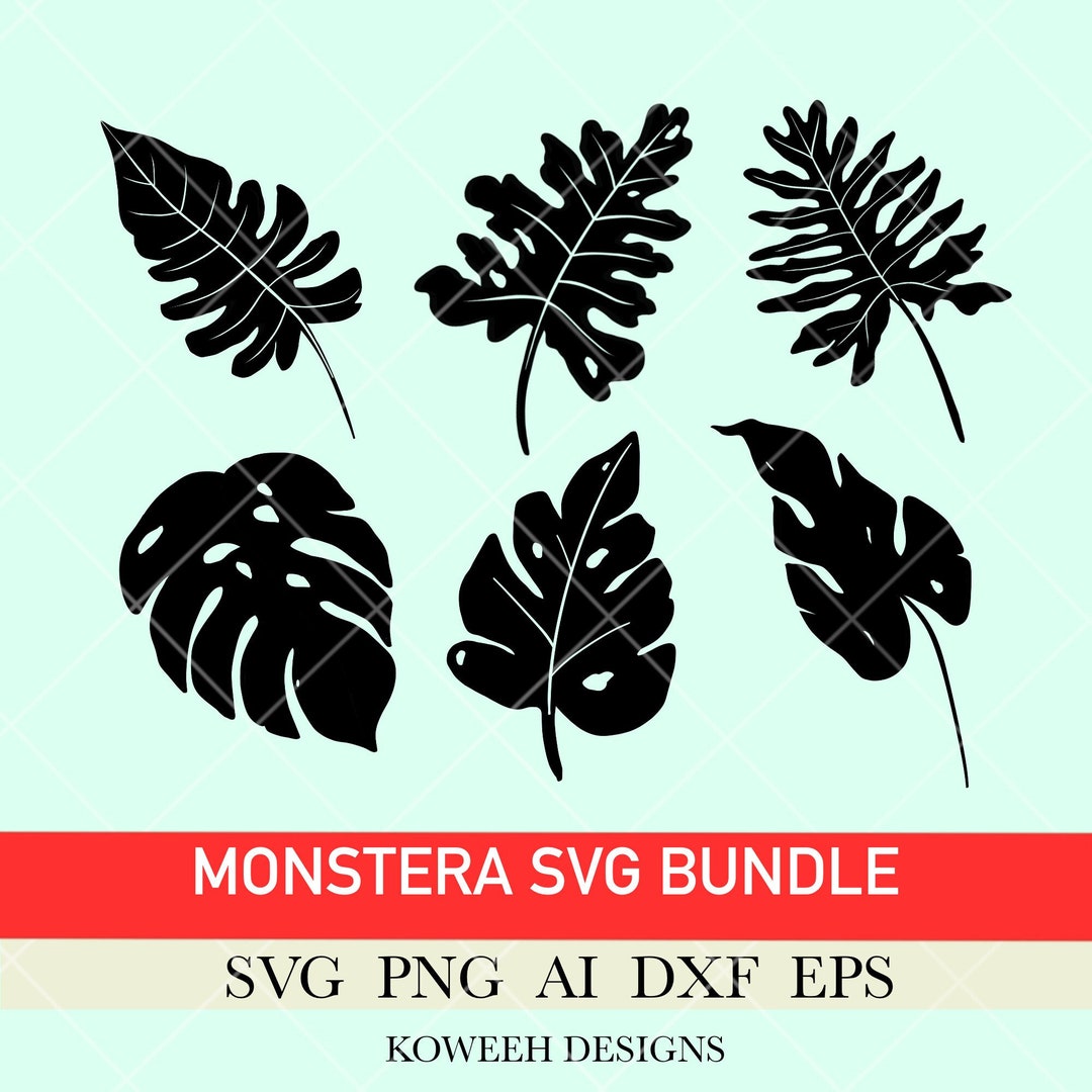 Monstera Svg Bundle, Monstera Leaf Svg, Plant Svg Digital Download - Etsy