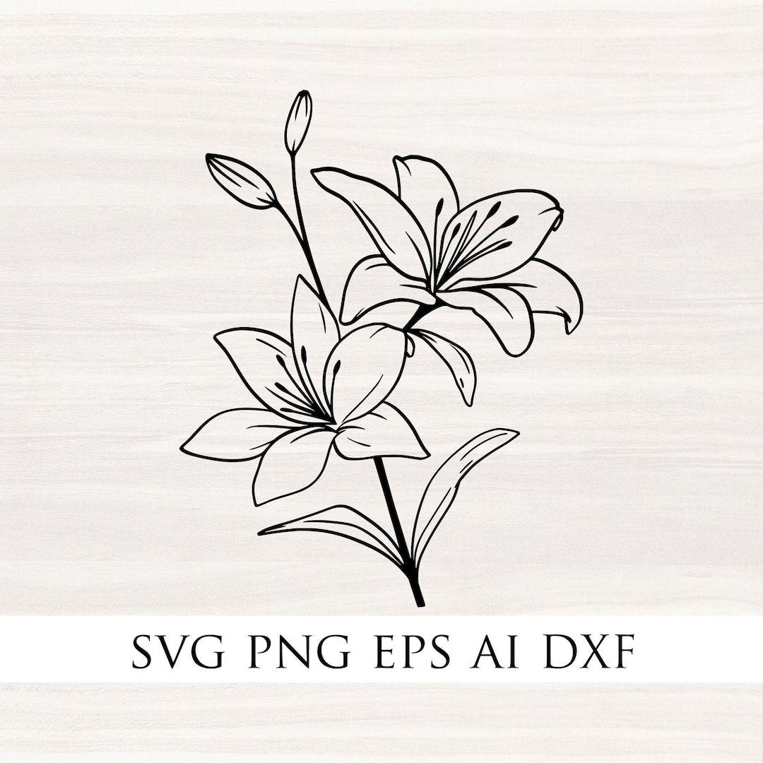 LILY FLOWER SVG, Lily Svg, Lily Flower, Flower Svg, Callalily Flower