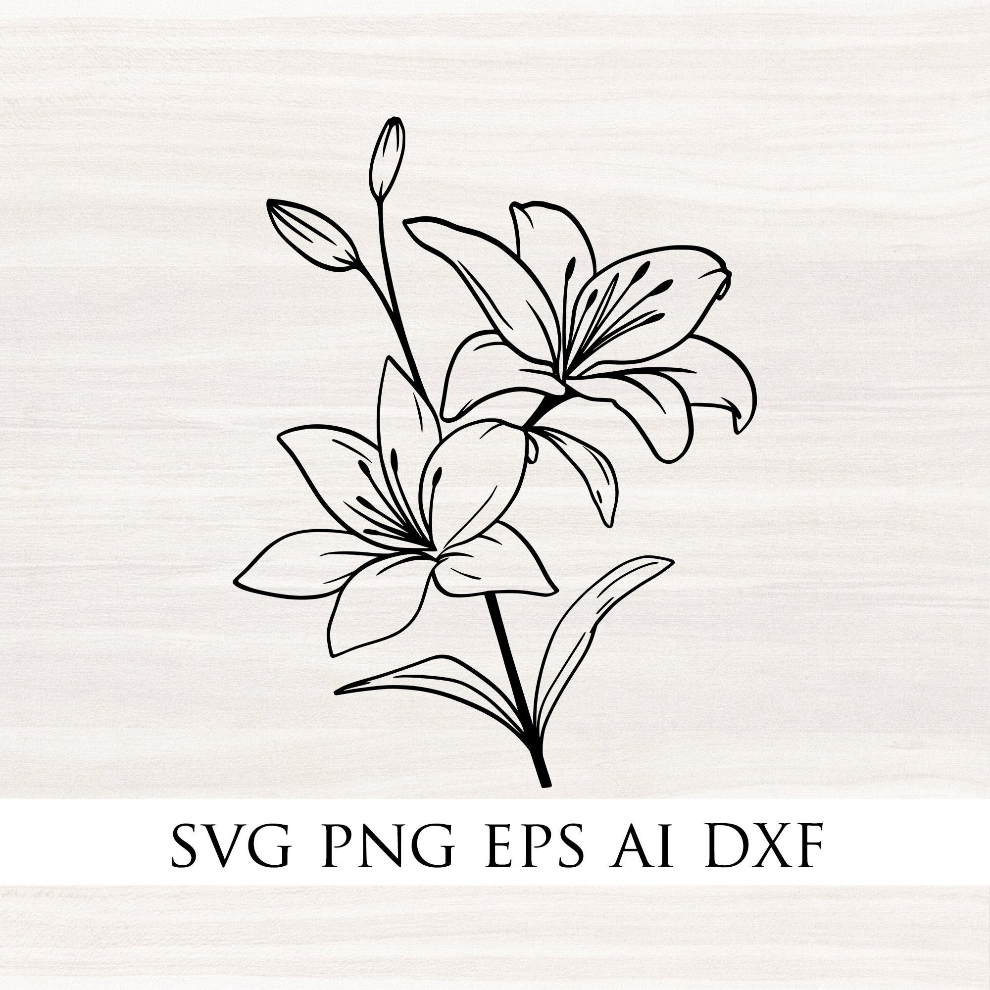Lily Svg Stargazer Lily Svg Bloom Svg File Flower Svg Etsy | My XXX Hot ...