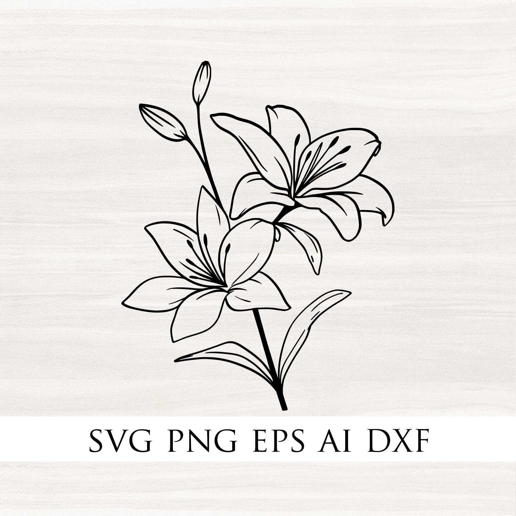 Lily Flower Svg Lily Flower Svg Lily Svg Flower Svg Lily Etsy ...