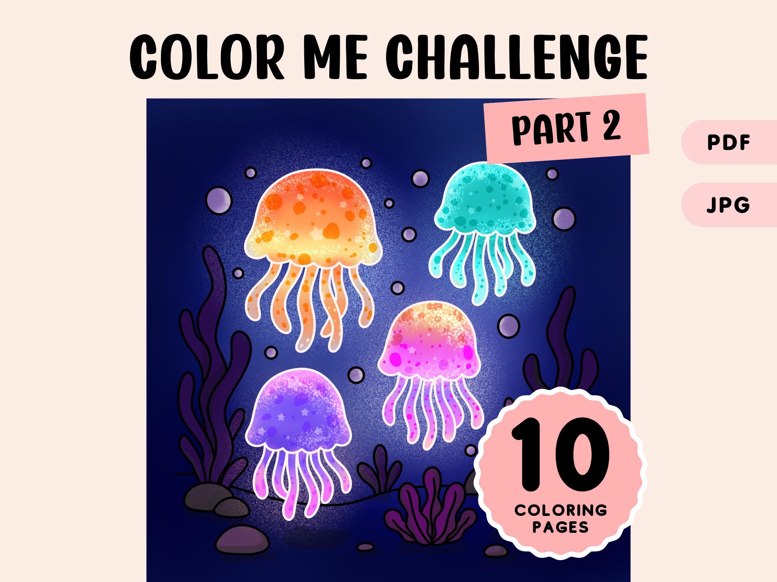 Coloring Challenge Page Coloring Practice Sheets for Adults Coloring Enthusiast Stress Relief Instant Download PDF File