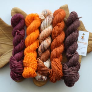 Ensemble de mini-écheveaux d'automne, laine à chaussettes teinte à la main, mini-écheveaux aux couleurs d'automne, terracotta, rouille, bordeaux, marron, 5 x 20 g