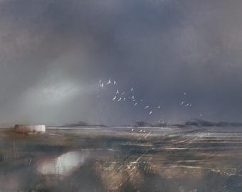 Op de afbeelding: Een gedempt, grijs landschap met een enkele rechthoekige structuur in de verte. Een zwerm witte vogels vliegt over een bewolkte lucht.