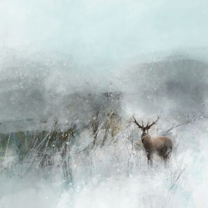 The Stag ! Giclee | Paper or Canvas Prints | Winter | Hills | Forest  | Environment | Countryside | Nature