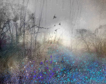 In the magical Bluebell Wood  | Giclee | Paper or Canvas Print | Spring | Natures Seasons  | Forest | Woodlands | Trees | Skies | Stillness