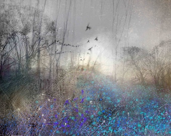 In the magical Bluebell Wood  | Giclee | Paper or Canvas Print | Spring | Natures Seasons  | Forest | Woodlands | Trees | Skies | Stillness