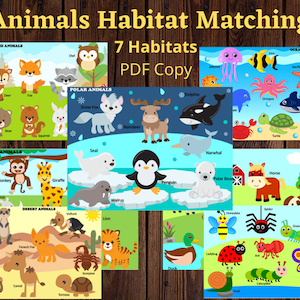 Animals Matching, Habitats Matching, Learning Animals, Animal Habitats, Preschooler Activity, Toddler Activities