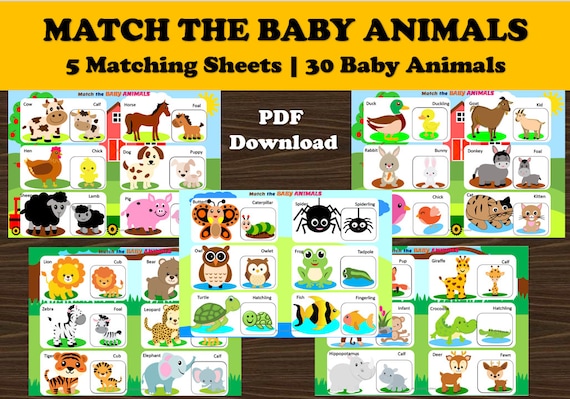 Toddler Busy Binder Matching Baby Animals Mother and Babies - Etsy Canada Toddler Busy Binder Matching Baby Animals Mother and Babies - Etsy Canada