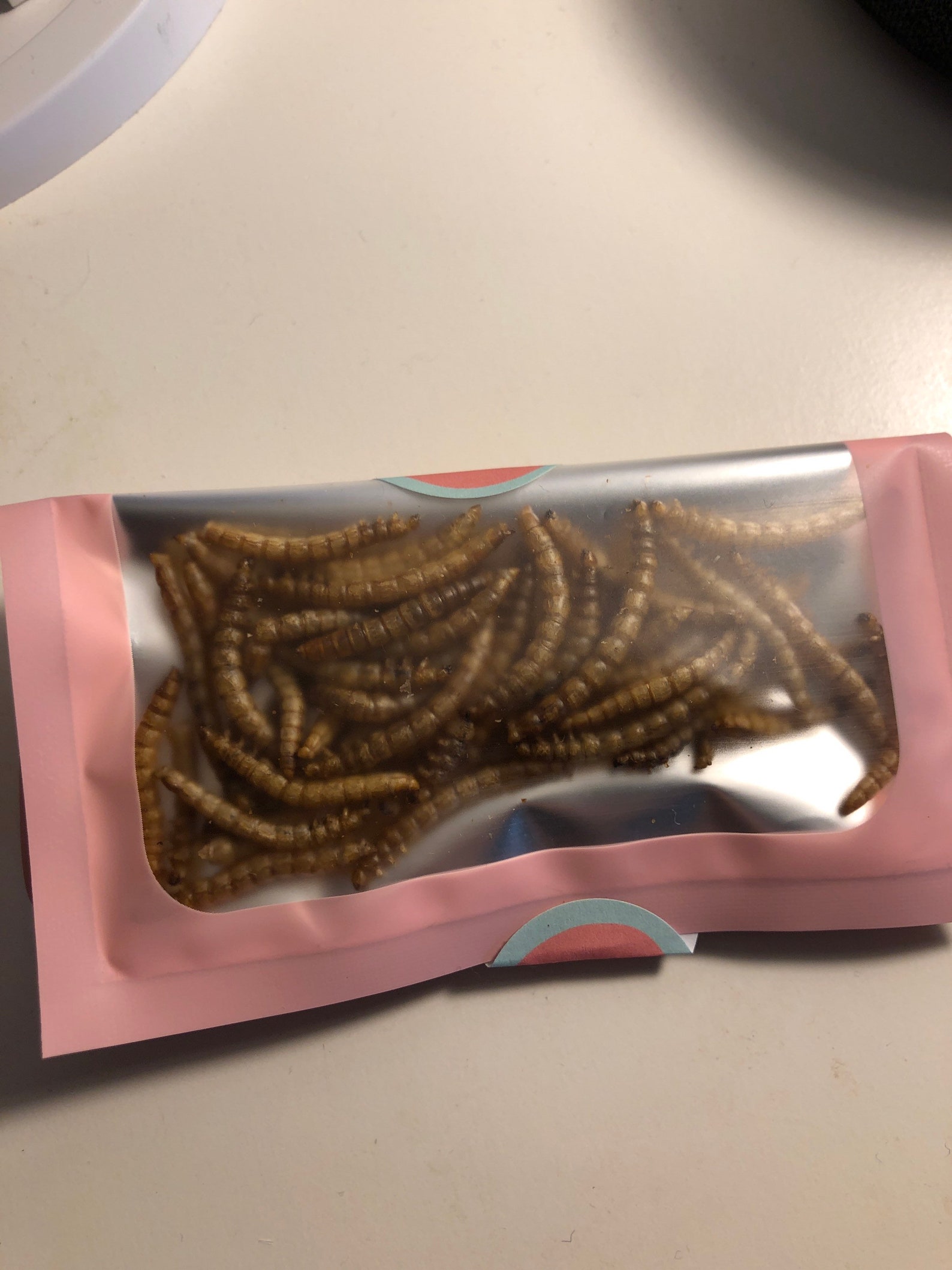 Mealworms for hamsters x50 Etsy