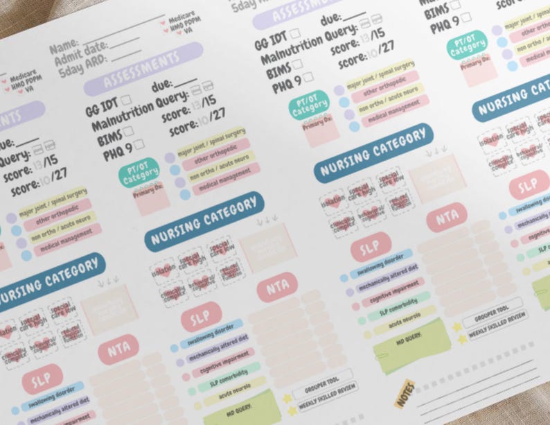 K&ouml;nnte beinhalten: Ein detailliertes, pastellfarbenes Bewertungsblatt mit Abschnitten f&uuml;r Patienteninformationen, Bewertungen und Pflegekategorien. Das Blatt enth&auml;lt Text wie "GG IDT", "Malnutrition Query" und "Nursing Category".