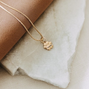 Peut inclure: Un collier doré avec un petit pendentif circulaire en forme d'empreinte de patte. Le pendentif est gravé du nom Stanley dans une police sombre et claire. Le collier présente une fine chaîne à maillons carrés reliée au pendentif patte.