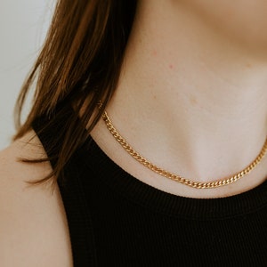Peut inclure: Un collier en chaîne dorée porté par une personne aux cheveux bruns. Le collier est une chaîne simple et délicate.