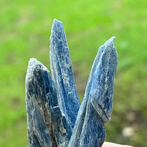Blue Kyanite Blades | ~ 1 inch blue kyanite blade | Blue kyanite crystal | Blue crystals for healing | Blue healing crystals | Kyanite