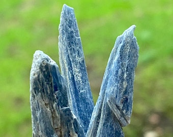 Blue Kyanite Blades | ~ 1 inch blue kyanite blade | Blue kyanite crystal | Blue crystals for healing | Blue healing crystals | Kyanite