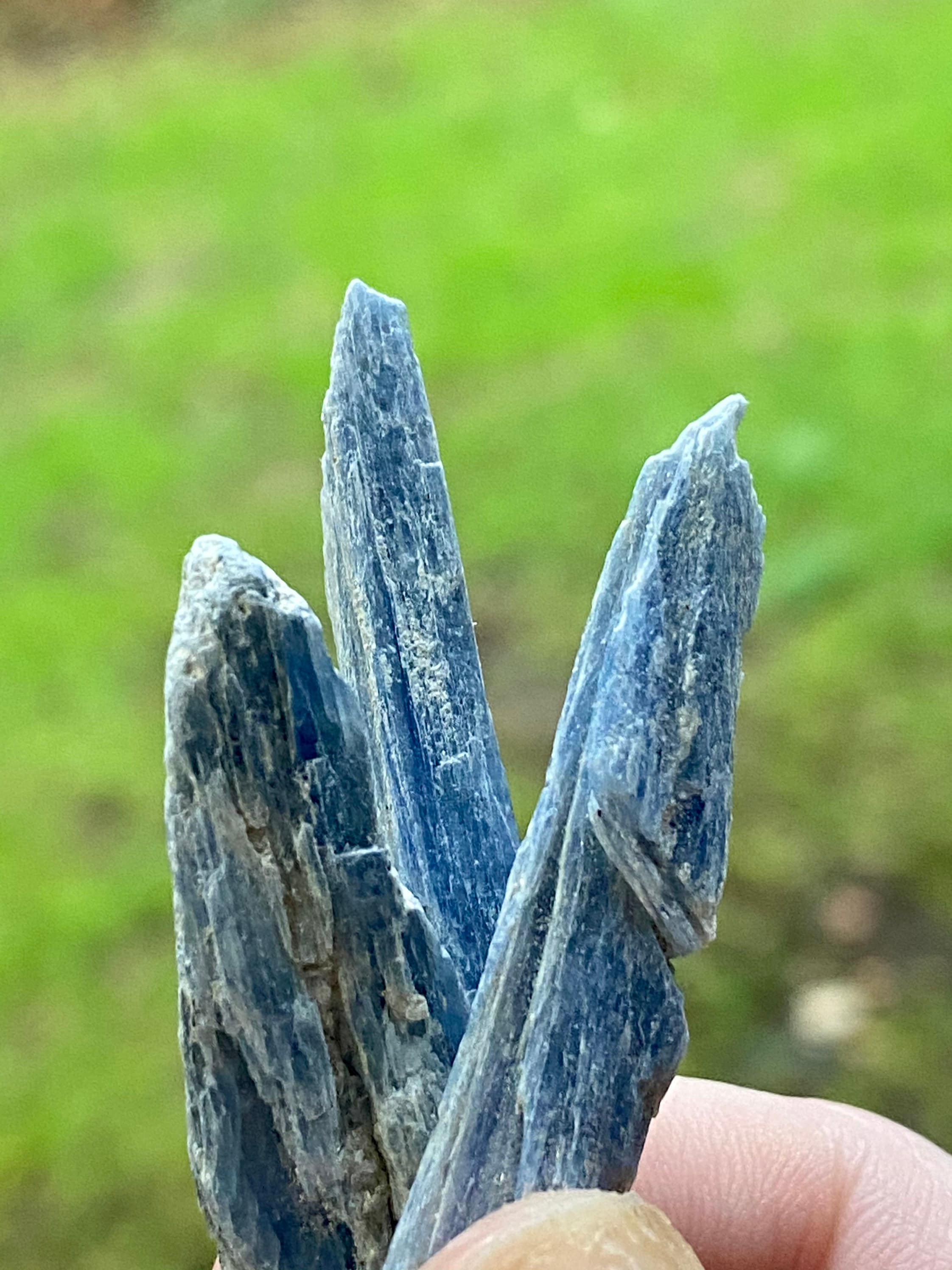 Blue Kyanite Blades 12 inch blue kyanite blade Blue Etsy