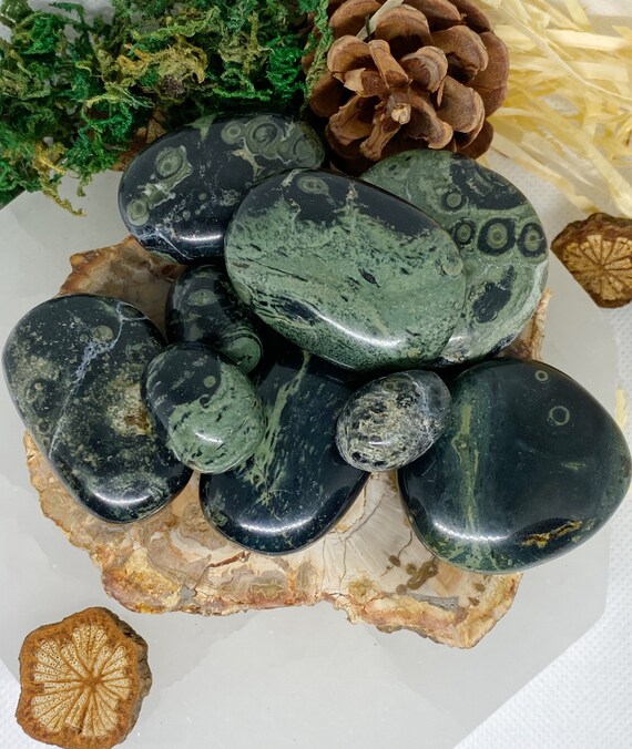 Large Kambaba Jasper Tumbles Large Kambaba Jasper Tumbles