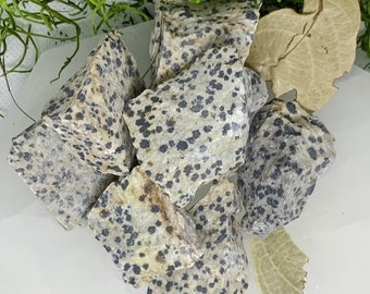 Raw Dalmatian Jasper Crystal | Natural Healing Stone